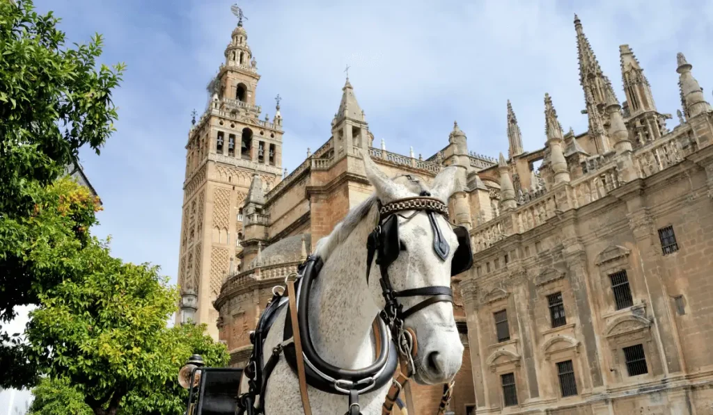 What is seville famous for