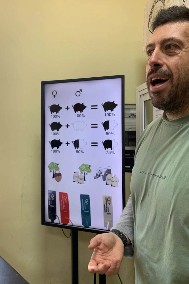 Gastronomic tour of Seville Explanation about Iberian ham